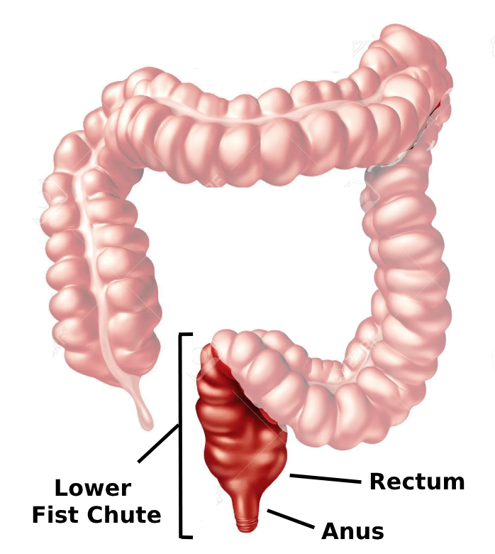 Navigable Areas of Fist Chute