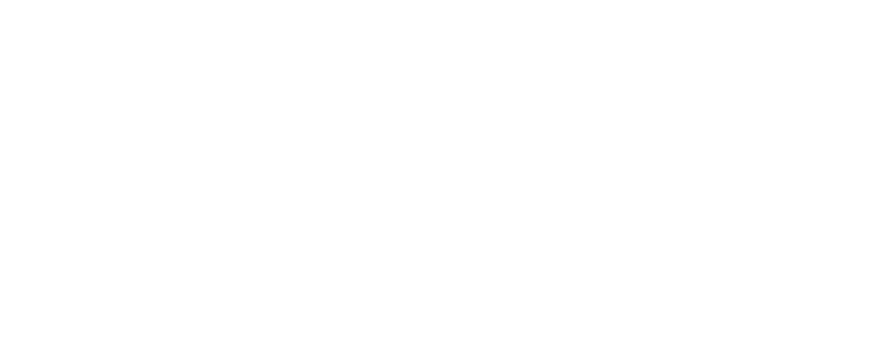 Fist Theory logo